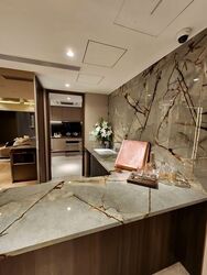 Grand Dunman (D15), Apartment #586249711